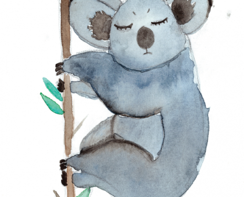 A postcard with a watercolour of a koala holding onto a branch.